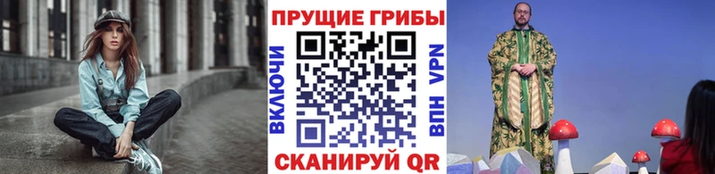 Псилоцибиновые грибы Magic Shrooms  купить наркотики цена  Медынь 